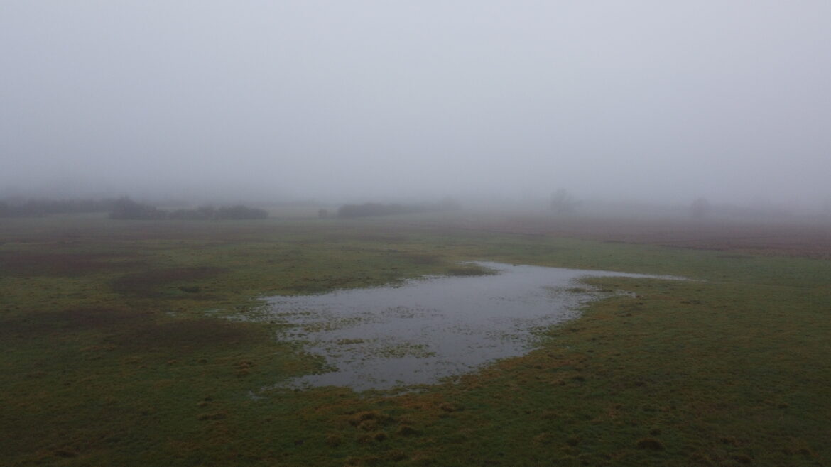 🐸 Journée mondiale des zones humides 2026